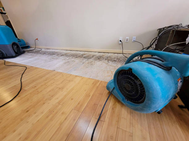 Professional Water Extraction technician working in Montrose, PA